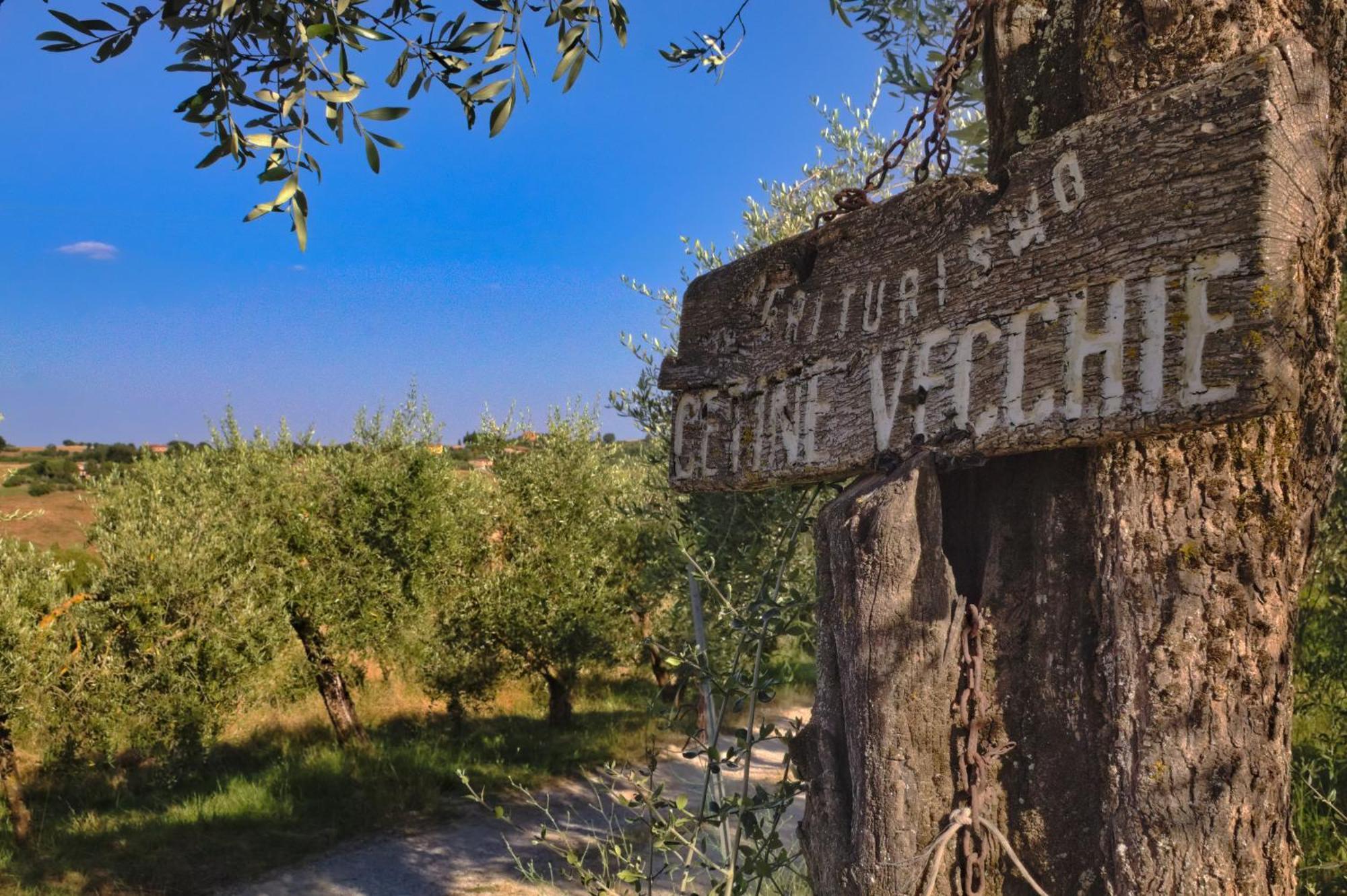 Villa Cetine Vecchie Torrita di Siena Exterior foto